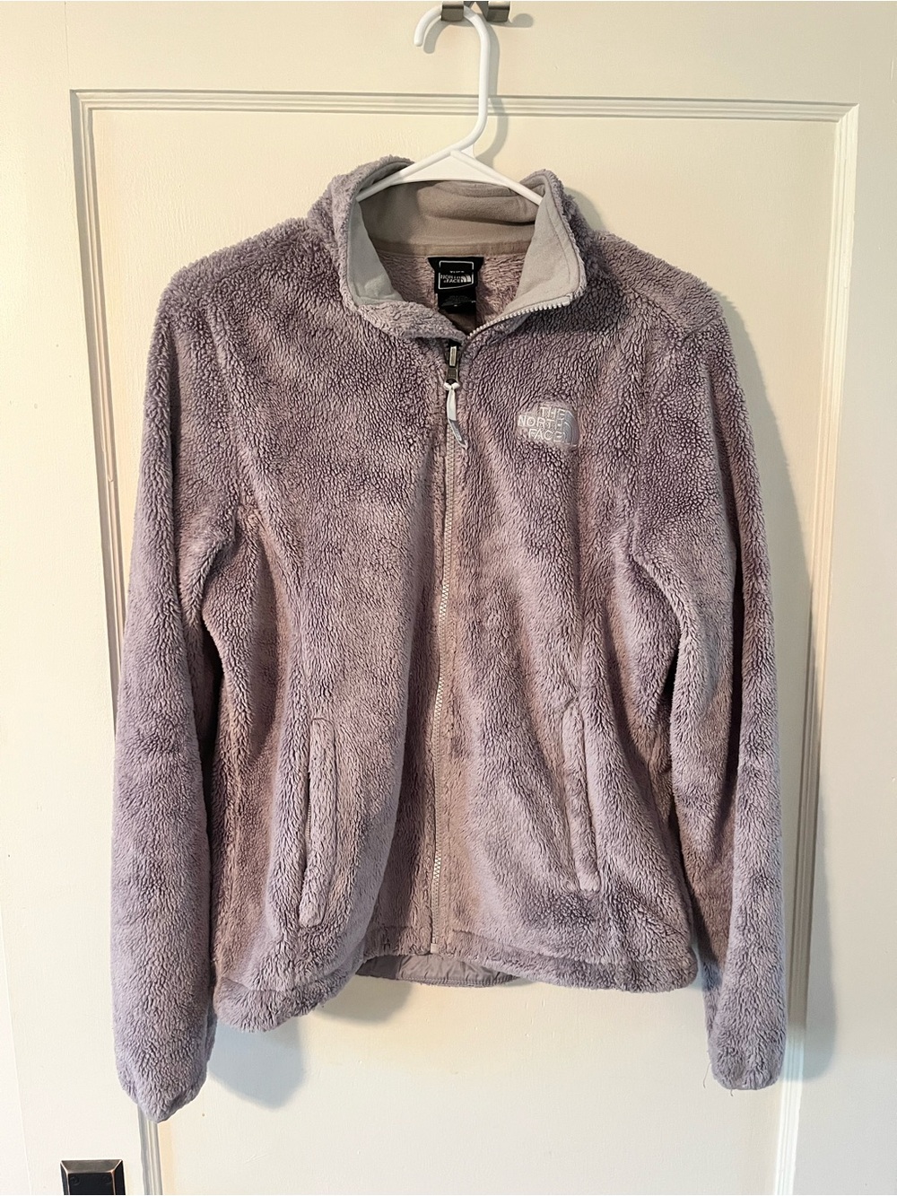 The North Face Fuzzy Full-Zip Jacket in Light Gray